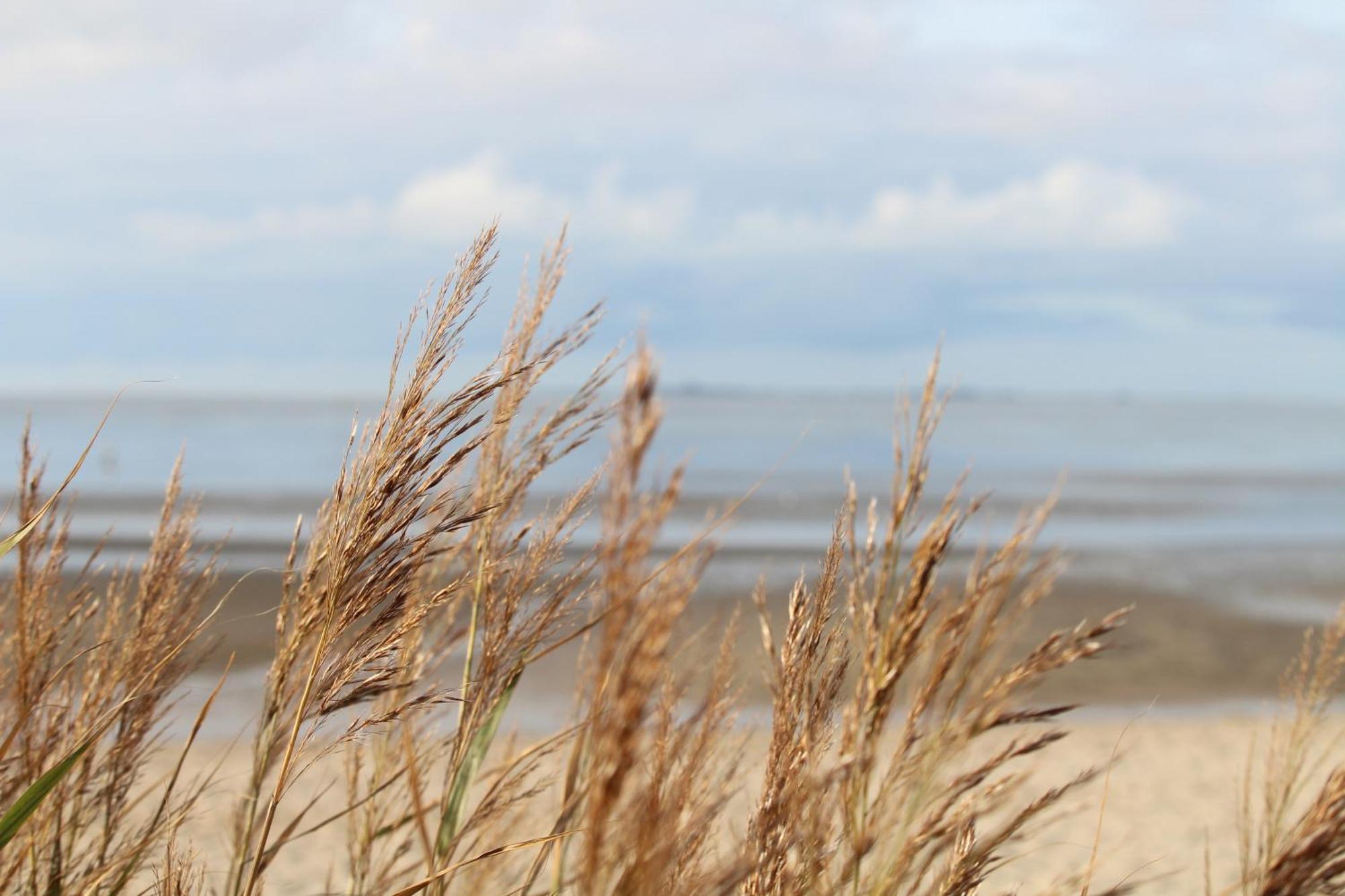 Steffis-Strand-Schule Cuxhaven Ngoại thất bức ảnh